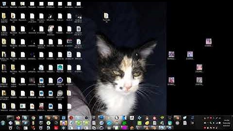 How to Extract Smash Brother BRAWL Animations