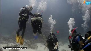 PADI open water Diver course - Egypt - Hurghada