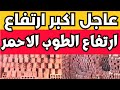 اسعار الطوب اليوم الثلاثاء 17 9 2024 في مصر 