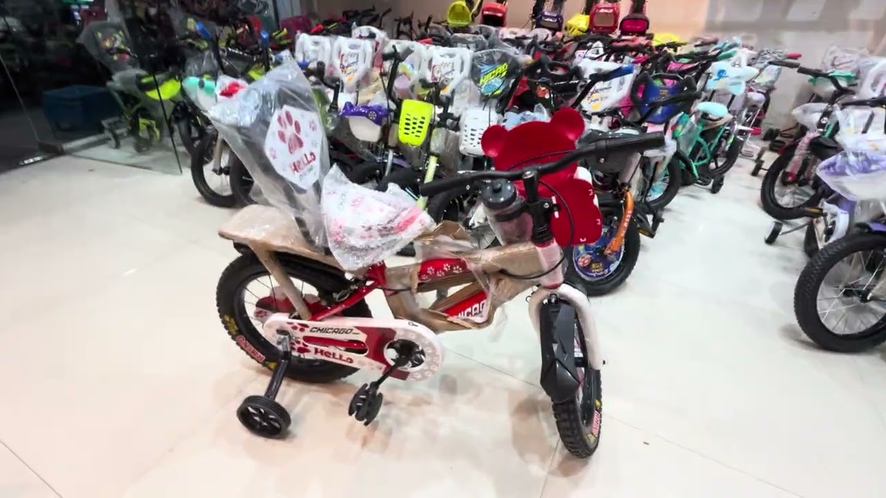 Ch￼icago Cycles 16T Age 5 to 9 Years ?