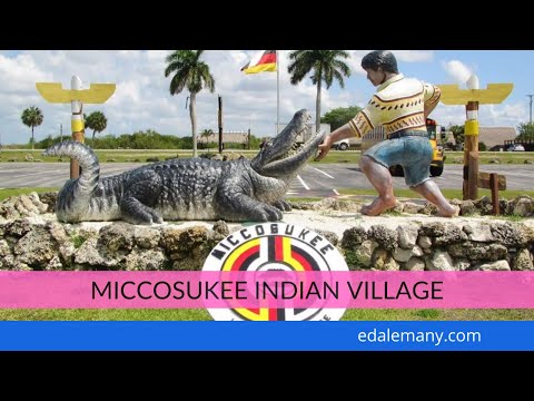 Video: Miccosukee Indian Village: Den komplette guide