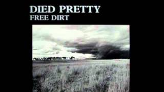 Video thumbnail of "Died Pretty - Life to go (Landsakes)"