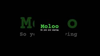 Moloo 34 Su Sd