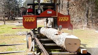 Fork Creek Mill - Long Pecan Crotch Log