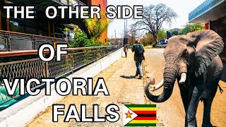 Victoria falls Is Not What You Think #zimbabwe Africa Ep.16