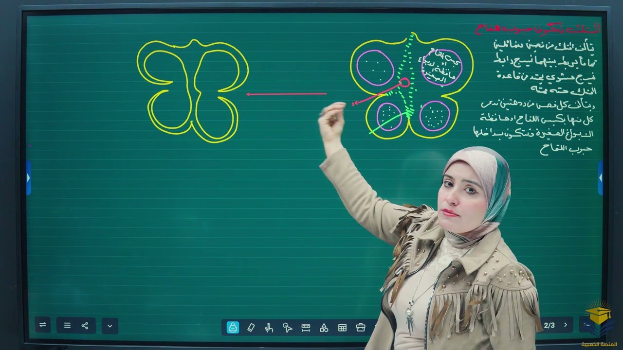 المتك وتكوين حبوب اللقاح /فصل ثالث/محاصرة16/ احياء السادس الاعدادي /أ. رنين ادريس الطائي 