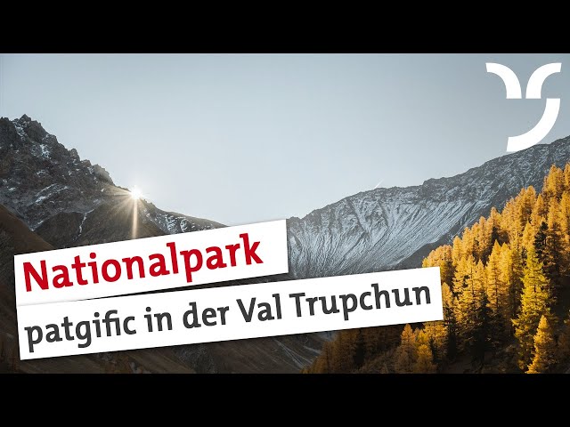 Watch patgific: Schweizerischer Nationalpark on YouTube.
