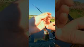 микроджиг для начинающих   #рыбалка #fishing #shorts