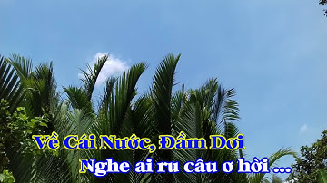 Karaoke Tân Cổ ÁO MỚI CÀ MAU   Nhạc  Thanh Sơn   Cổ nhạc  Viễn Châu Dây Đào