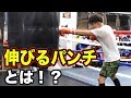 世界チャンピオン京口紘人のボクシング裏テクニック！【Hiroto Kyoguchi】