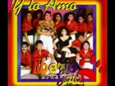 los gatos no ladran descargar mp3 video los gatos no ladran descargar mp3 video