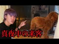 心霊検証 愛犬が必ず深夜2時になると吠え出すのでカメラを回してみた結果 心霊検証 愛犬が必ず深夜2時になると吠え出すのでカメラを回してみた結果