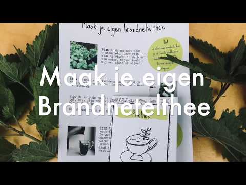 Maak je eigen brandnetelthee | Hortus botanicus Leiden