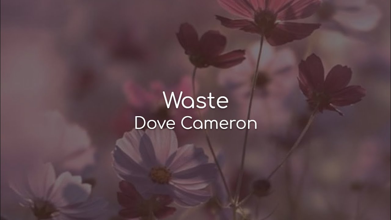Waste - Dove Cameron (lyrics) - YouTube.