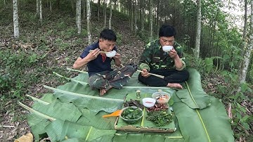 #781. Câu cá sộp trong dòng suối nhỏ, phiêu lưu trong rừng