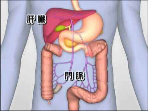 肝臓がん～患者の立場に立った治療～