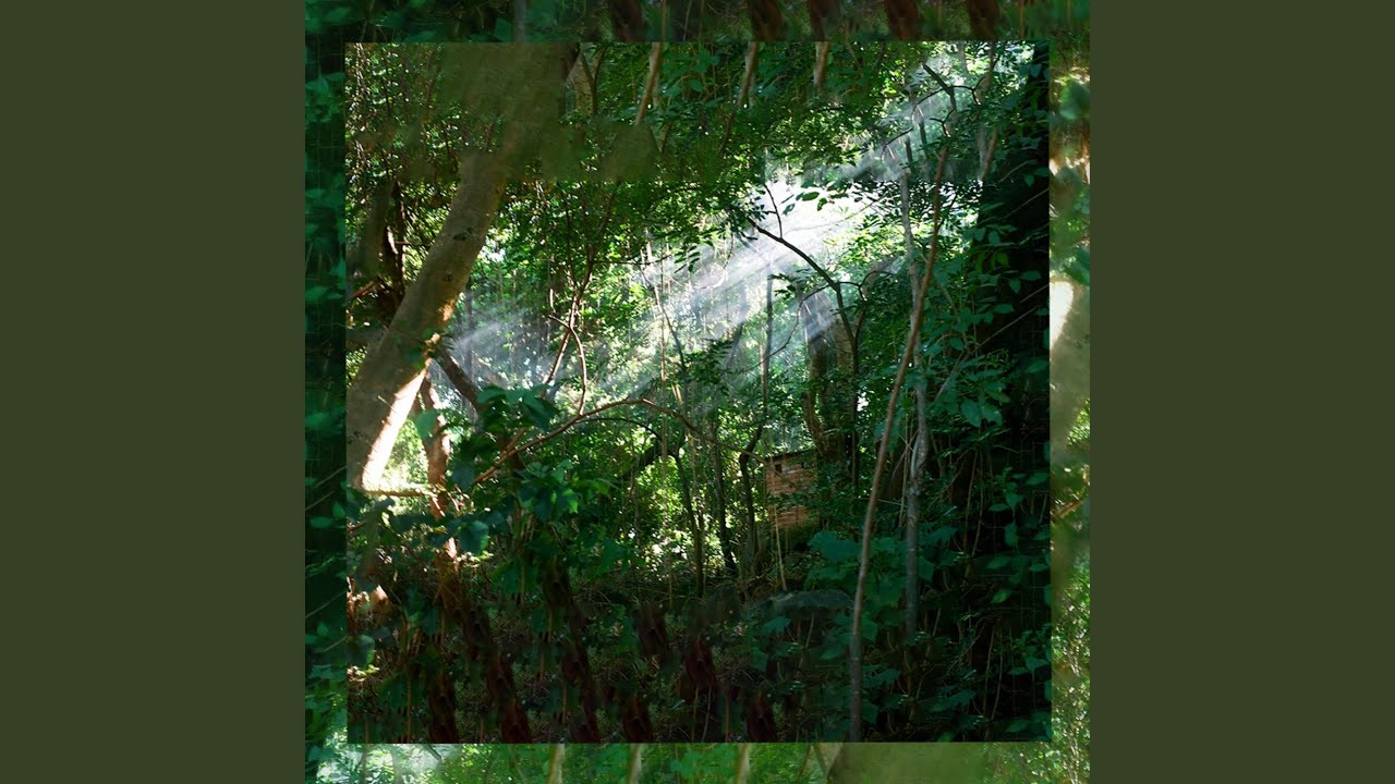 Watch Kyoto on YouTube Watch Kyoto on YouTube