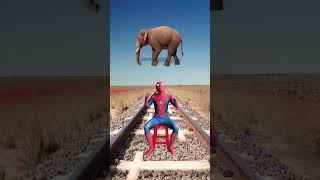 Catching horse, elephant, parrot & rabbit vs lion & gorilla - Funny vfx magic 