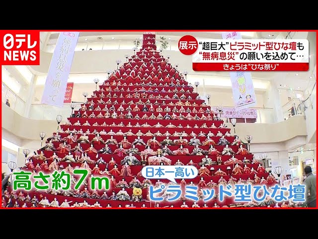 超巨大】高さ7m