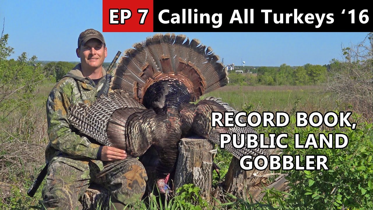 AMAZING!!! PUBLIC LAND GOBBLER WITH 4 BEARDS!!! Calling All Turkeys