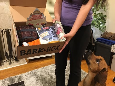 barkbox-unboxing-&-review---november-2017-for-medium-dogs