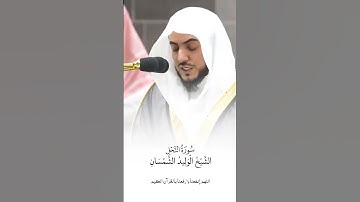 سورة النحل | الشيخ #الوليد_الشمسان