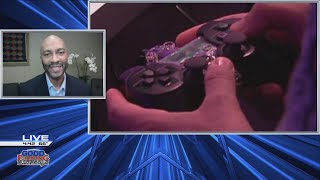 Video game industry booming and hiring amid pandemic
