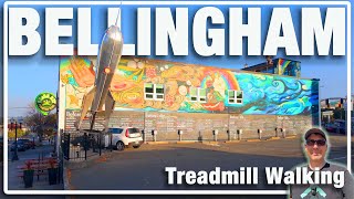 Bellingham, Washington - Virtual Walking Tour - Autumn Morning Treadmill  Travel Video in 4k