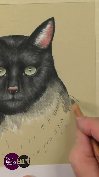 Top 5 Secrets to using Pastel Pencils — The Colin Bradley School of Art