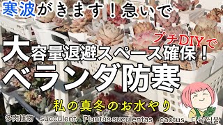 151【多肉植物】寒波が来るよ！プチDIYで簡単ベランダの寒さ対策/真冬のお水やり