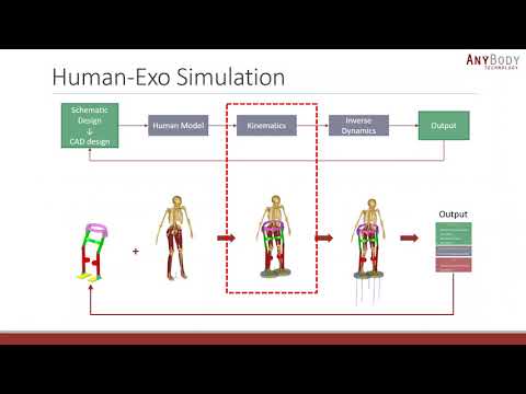 [Webcast] - Simulations as a tool for human-centered exoskeleton design
