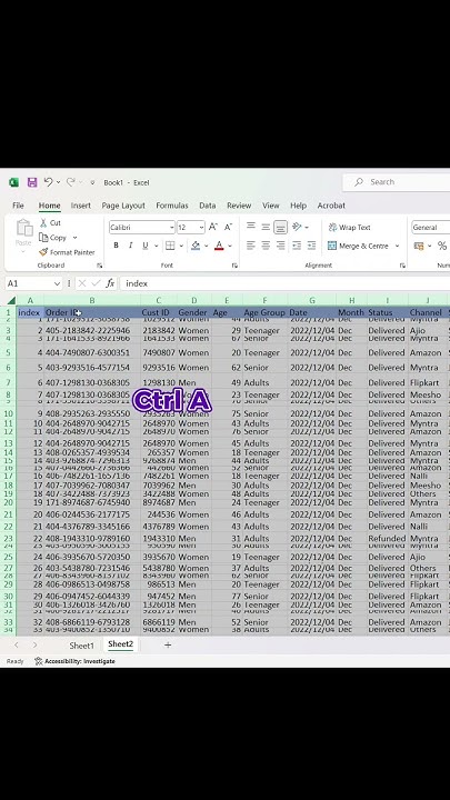 How To Autofit Columns And Rows At The Same Time exceltricks how-to-autofit-columns-and-rows-at-the-same-time-exceltricks