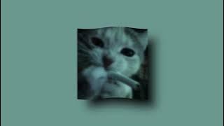 HOW DEEP IS YOUR LOVE - BEE GEES (sped up)