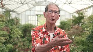 Peter Chan Interview - Bonsai Doentary Segment