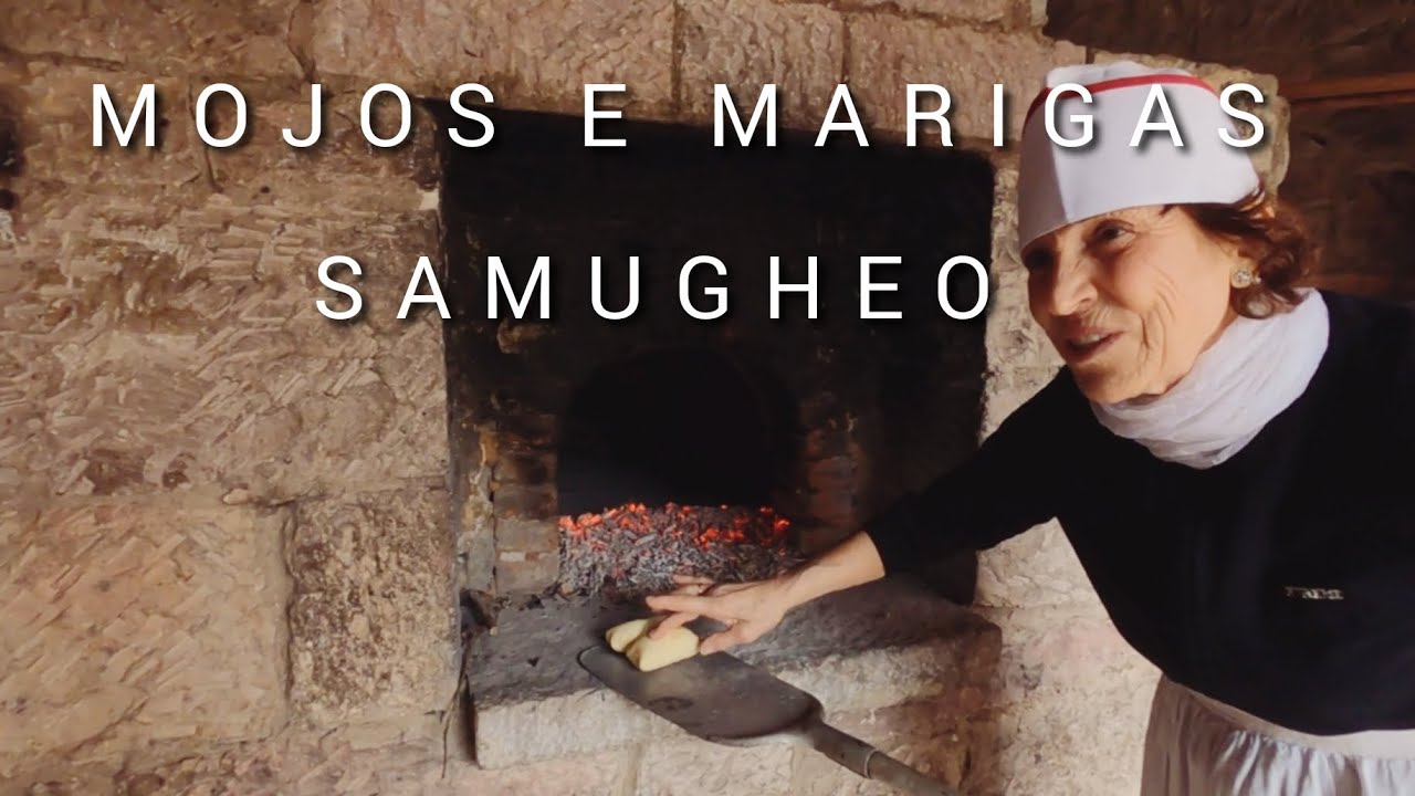 MOJOS E MARIGAS #samugheo #mandrolisai #2022 #sardegna