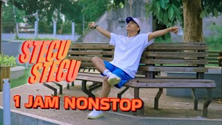 Download Lagu 1 JAM STECU - FARIS ADAM MP3