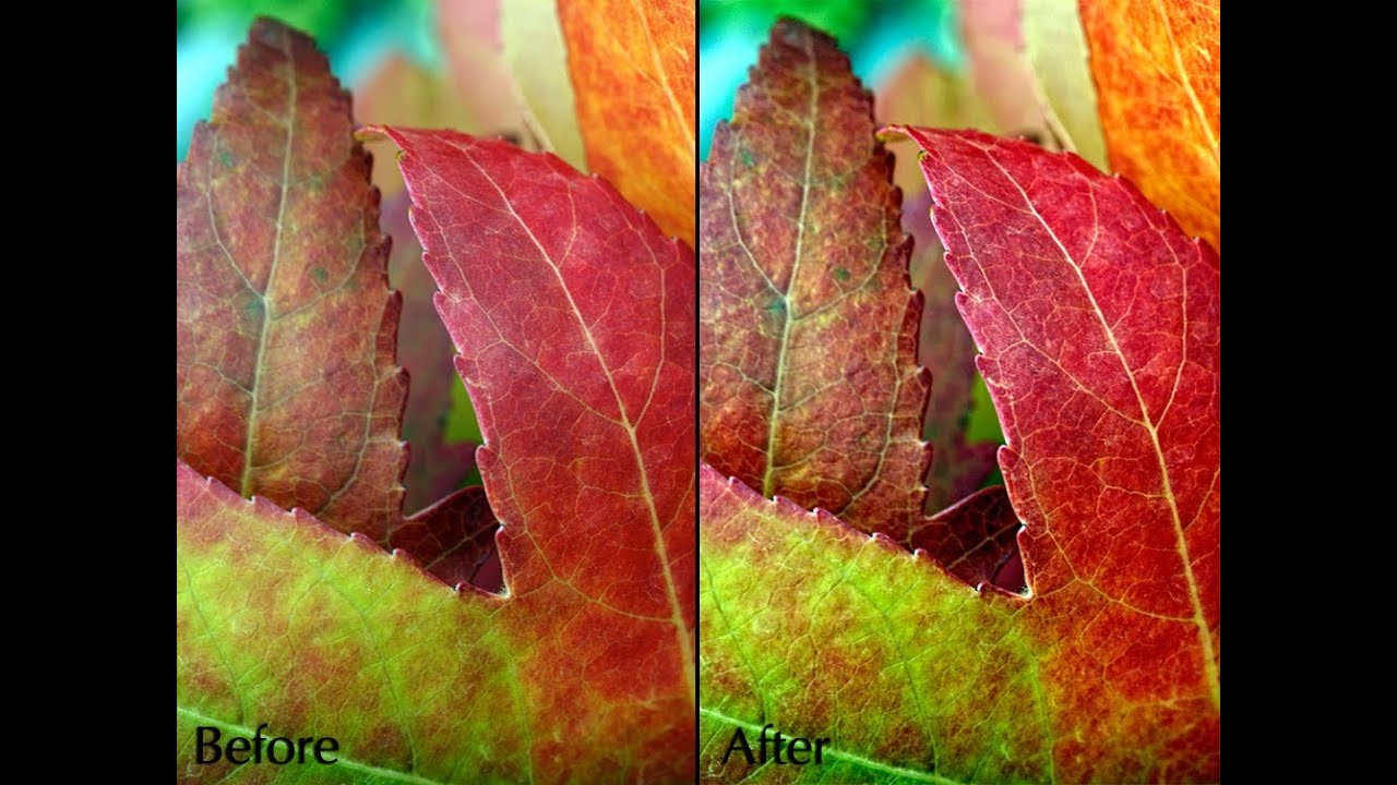 topaz detail v2.0.5 download topaz detail v2.0.5 download