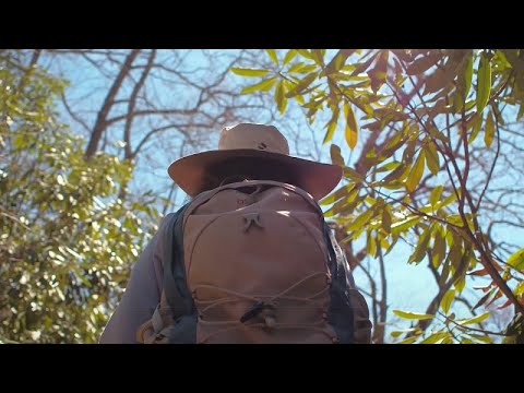 Vidéo: Nantahala National Forest : Le guide complet
