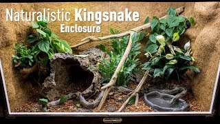 Setting up a Naturalistic Kingsnake Enclosure