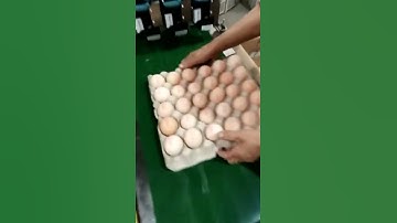 TIJ coding system with 6 nozzles ,used to printing batch no and date of the whole plate eggs