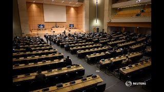 The U.N. Human Rights Council discusses 'systemic racism and police brutality' in the U.S.