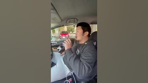 Threatening a friend with Mentos and Coke in car tiktok