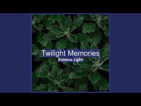 Twilight Memories