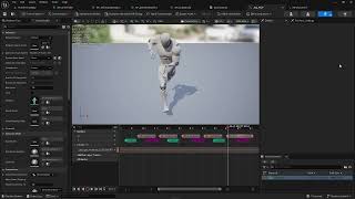 UE 5  - Scripted Asset Action - Find Anims by Notify Properties