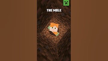 WHO ARE YOU ON YOUR FIRST NIGHT?