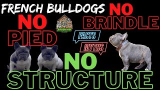 Uncovering the Bizarre Truth Behind 'No Pied No Brindle' by The Bulldog Breeder 46,987 views 1 year ago 10 minutes, 52 seconds