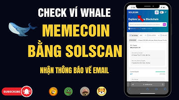 Công Cụ Vàng Solscan: Follow Ví Alpha Memecoin Đầy Tiềm Năng!