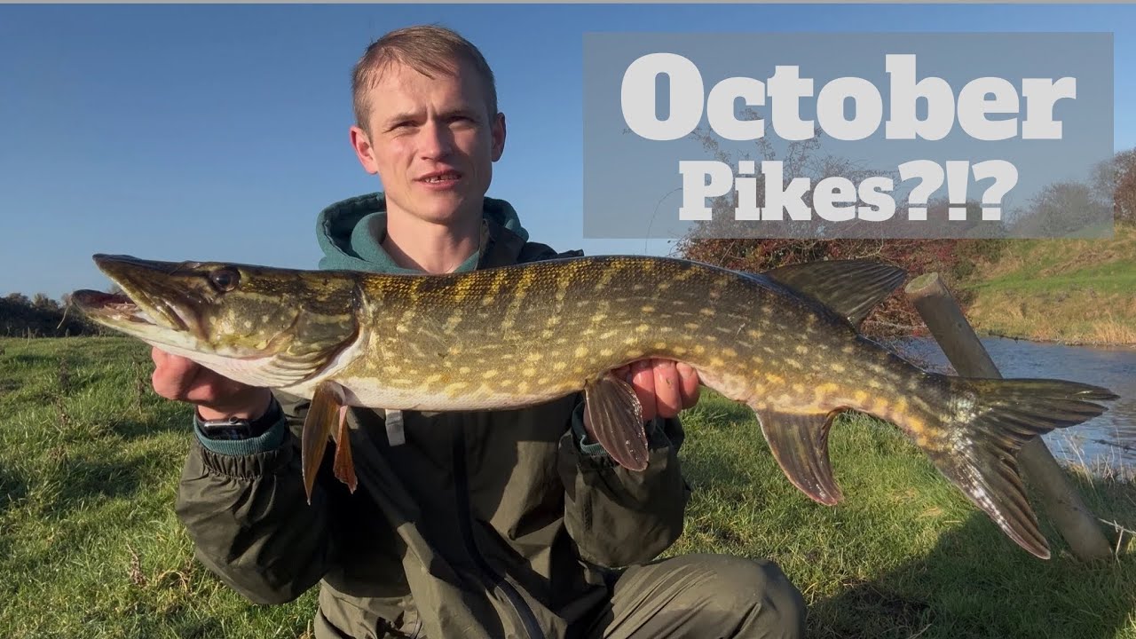 Early Morning River Fishing Adventure!