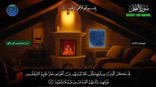 Surah An Nahl Verses 26-40 || By Asif Bhai || With Arabic Text (HD) |سورة النحل|