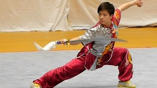 全日本武術太極拳2016 中国選手の模範演武がヤバイ02 tv2ne1